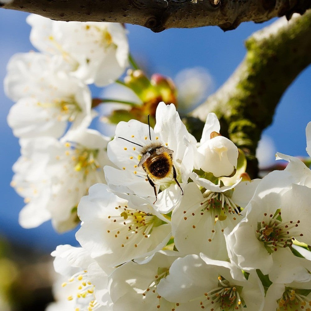 Allergiezeit & empfindliche Haut: Was jetzt wirklich hilft