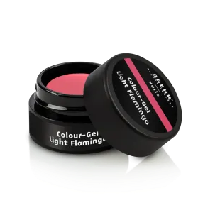 BAEHR BEAUTY CONCEPT - NAILS Colour-Gel - light flamingo – UV-/LED-Gel für Nagelmodellage, 5ml, Dose offen