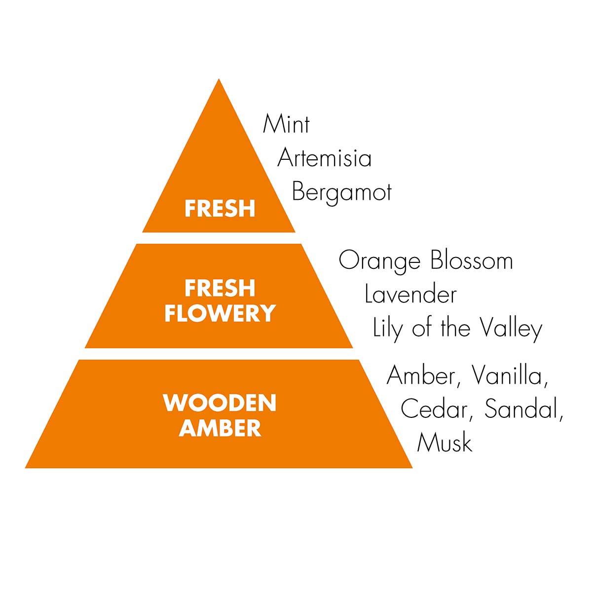 DERMOLAB UOMO 72 hour Deodorant all over Body Spray – Sorgt für ein sauberes, frisches Gefühl und einen trockenen Effekt, der 48 Stunden anhält., 150ml, Duftpyramide