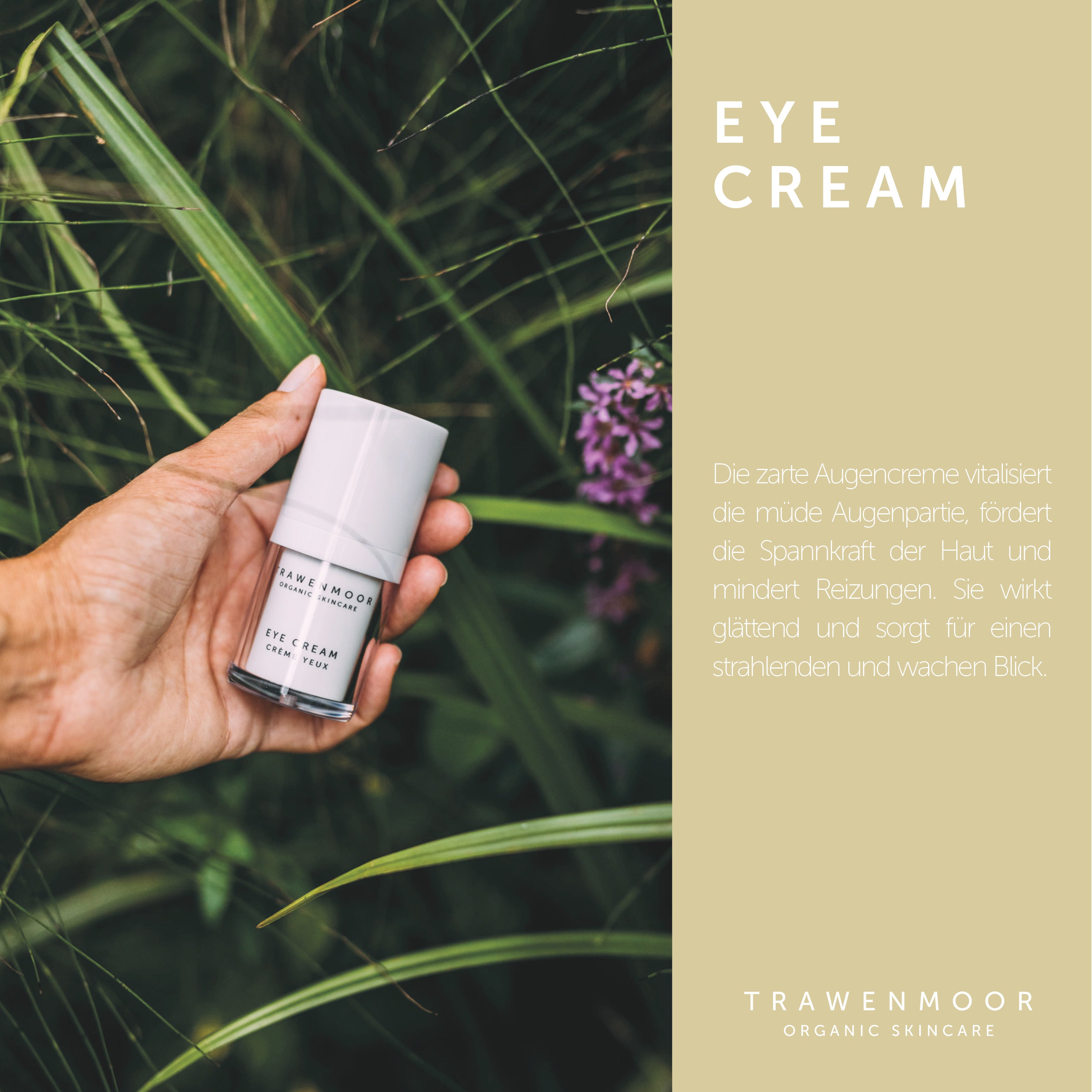 DR SPILLER TRAWENMOOR Eye Cream – 15 ml, Hand hält Tiegel vor Gras Hintergrund