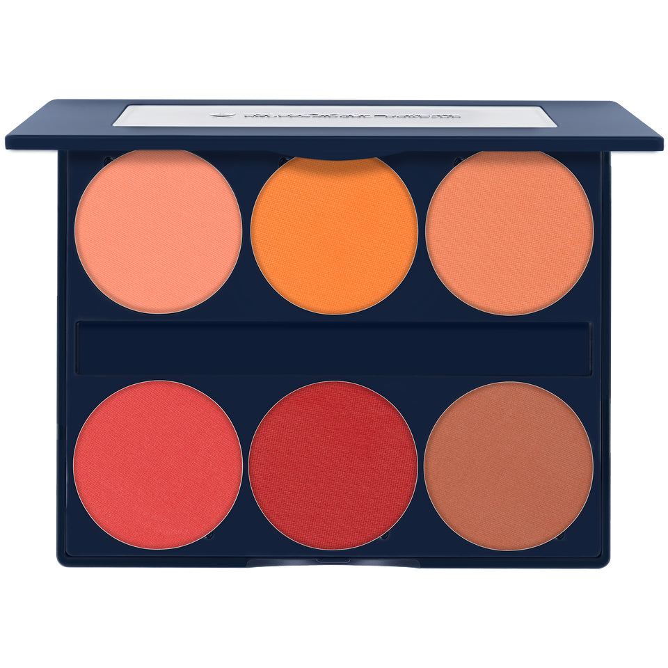 KRYOLAN Silk Finish Blush Palette 6 Farben Lush – magnetisch, 10g, Palette offen