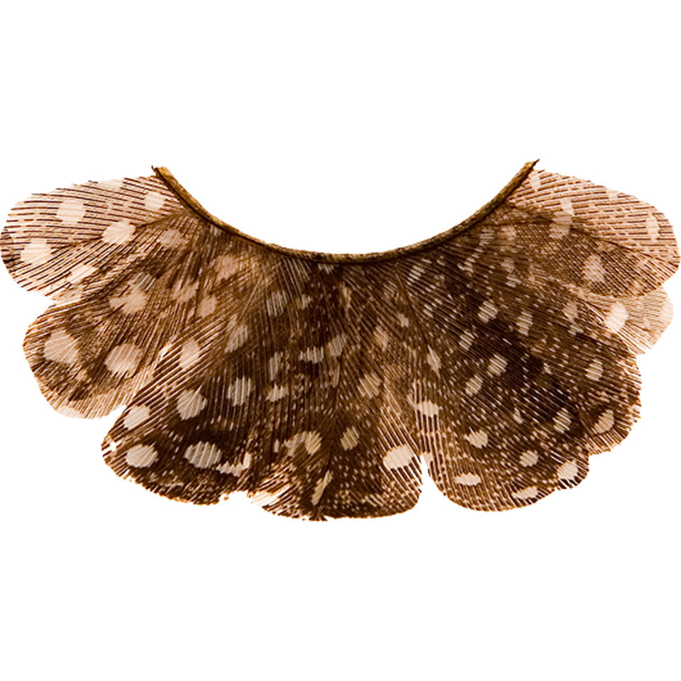 KRYOLAN Wimpern Peacock brown speckled – Burlesque Wimpern aus Pfauenfedern, 1Paar