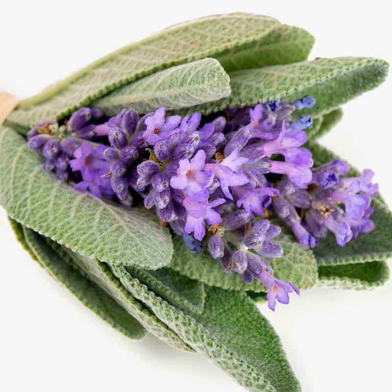 YODEYMA Beach – 15ml, Salbeiblüte