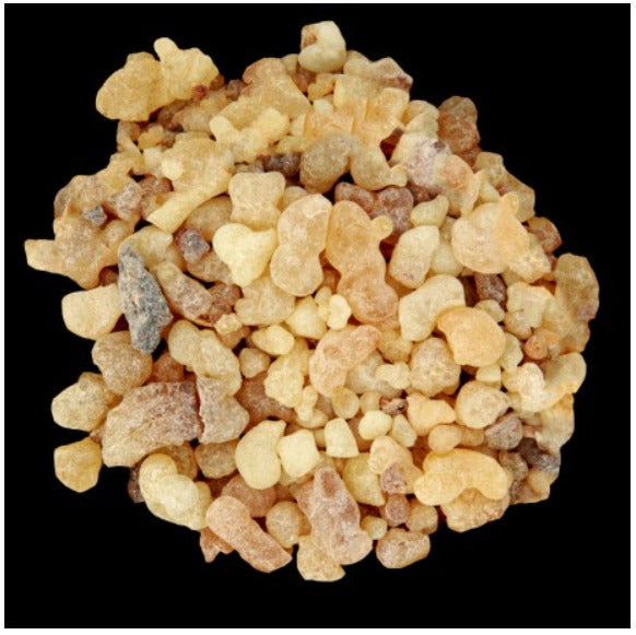 YODEYMA Dinara – 15ml, Moschusharz