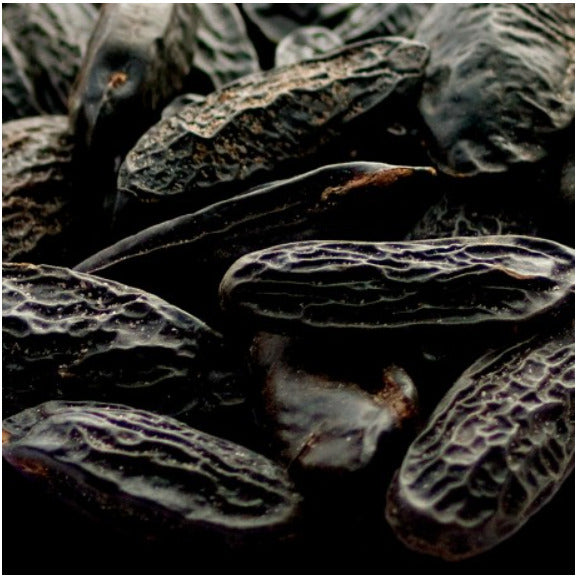 YODEYMA Dinara – 15ml, Tonkabohnen