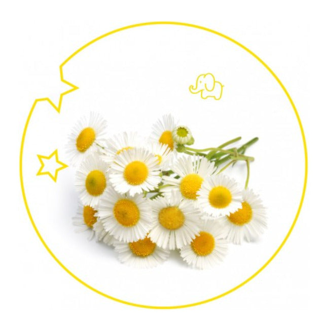 YODEYMA Eau de Parfum Kids – 50ml, Gänseblümchen