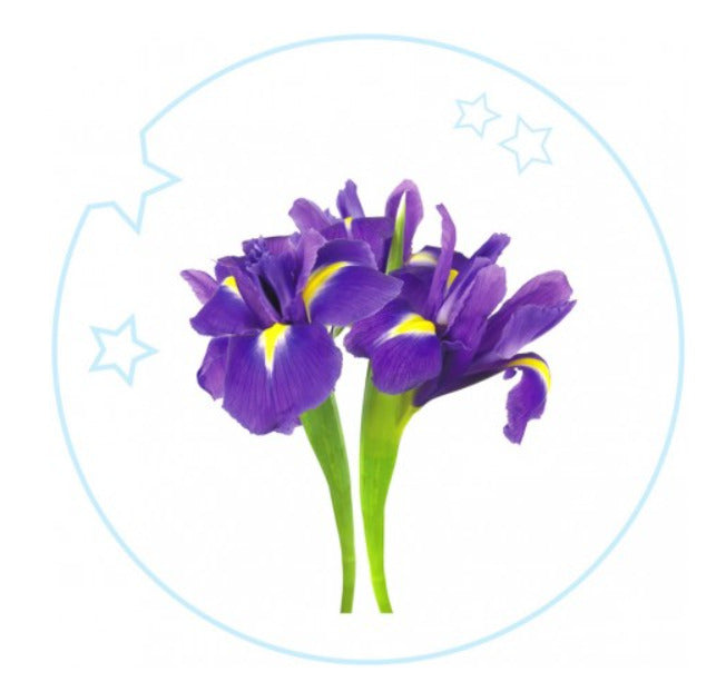 YODEYMA Eau de Parfum Kids – 50ml, Iris