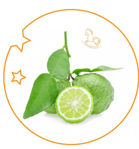 YODEYMA Eau de Parfum Kids – 50ml, Limetten