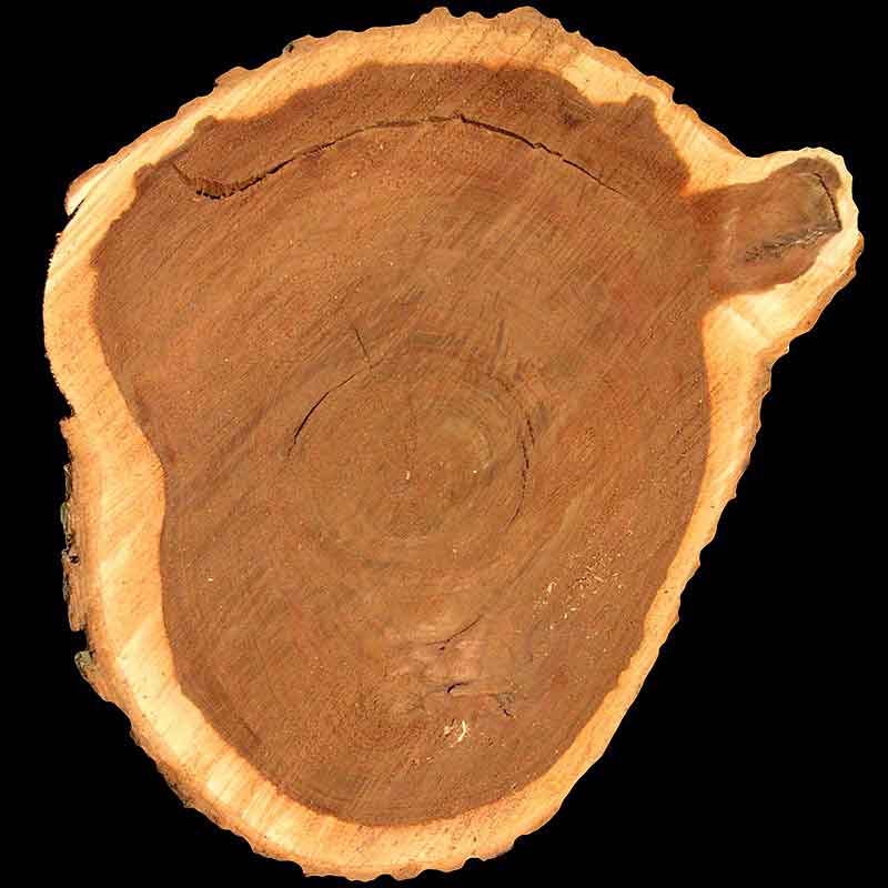 YODEYMA Kent – 15ml, Holz