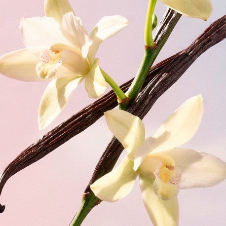 YODEYMA Lido – Damenparfum, 100ml, Vanilleblüte