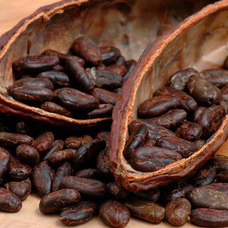 YODEYMA Peak – 15ml, Kakaobohnen