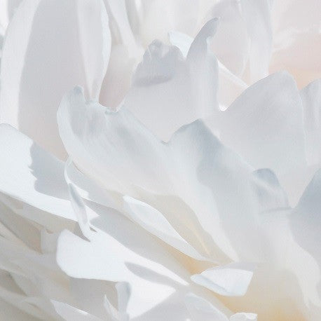 YODEYMA Valia – 100ml, Detailaufnahme weiße Blütenblätter