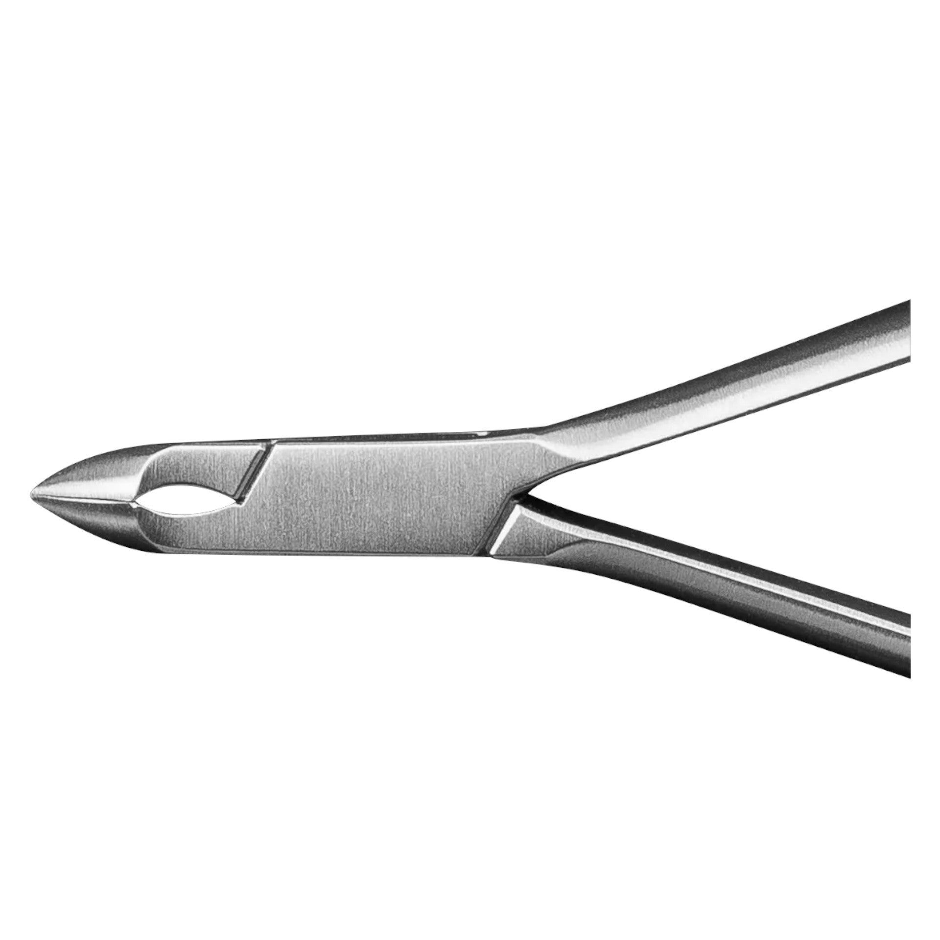 AESCULAP Hautzange HF461R, gewölbte Schneide 7 mm Länge 11 cm, 1stk, Detailaufnahme Zangenkopf unten