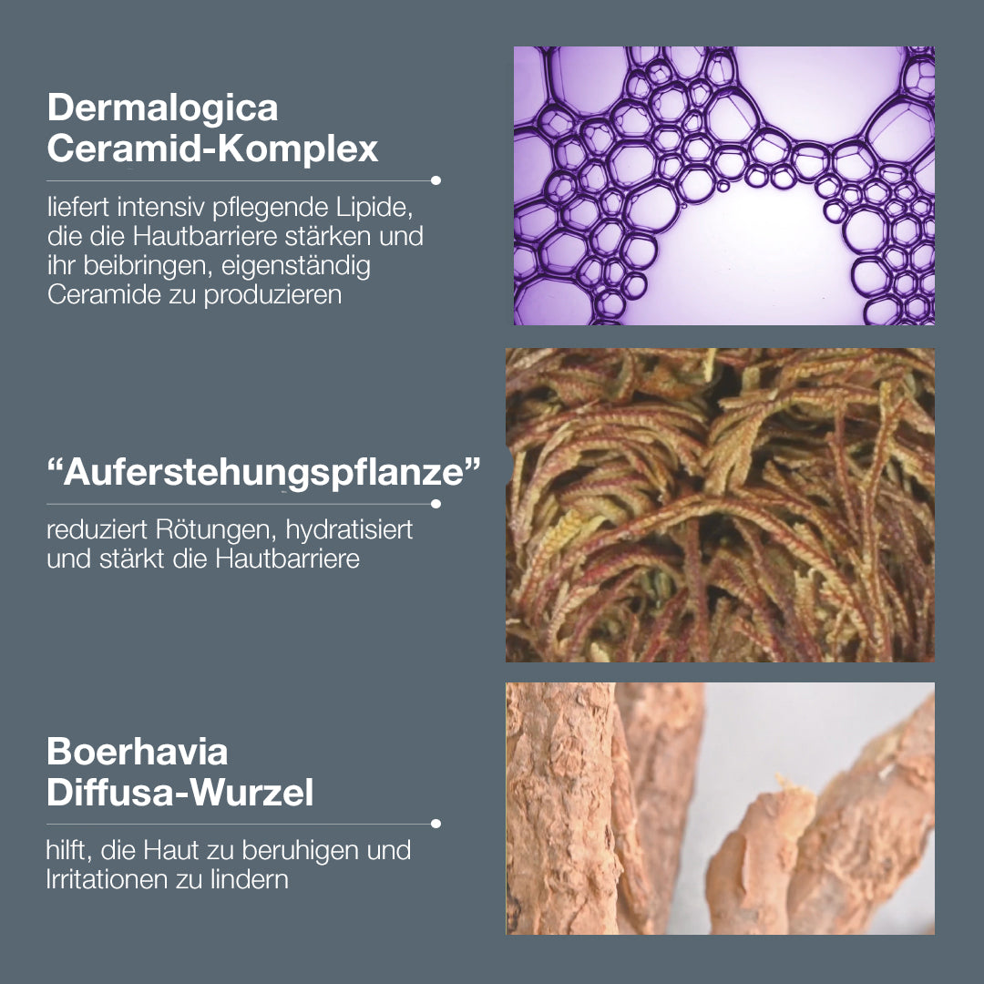 DERMALOGICA Stabilizing Repair Cream – Der hochwirksame Dermalogica Ceramid-Komplex hilft, das Reaktionsmuster empfindlicher Haut zu durchbrechen und die Hautbarriere zu stärken., 100ml, Inhaltsstoffe