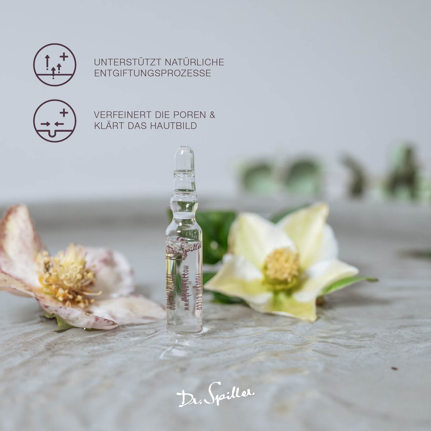 DR SPILLER Breath - Free like the Wind - The Detoxifying Ampoule  – 7x2 ml, Einzelampulle mit Blumen auf Steinplatte
