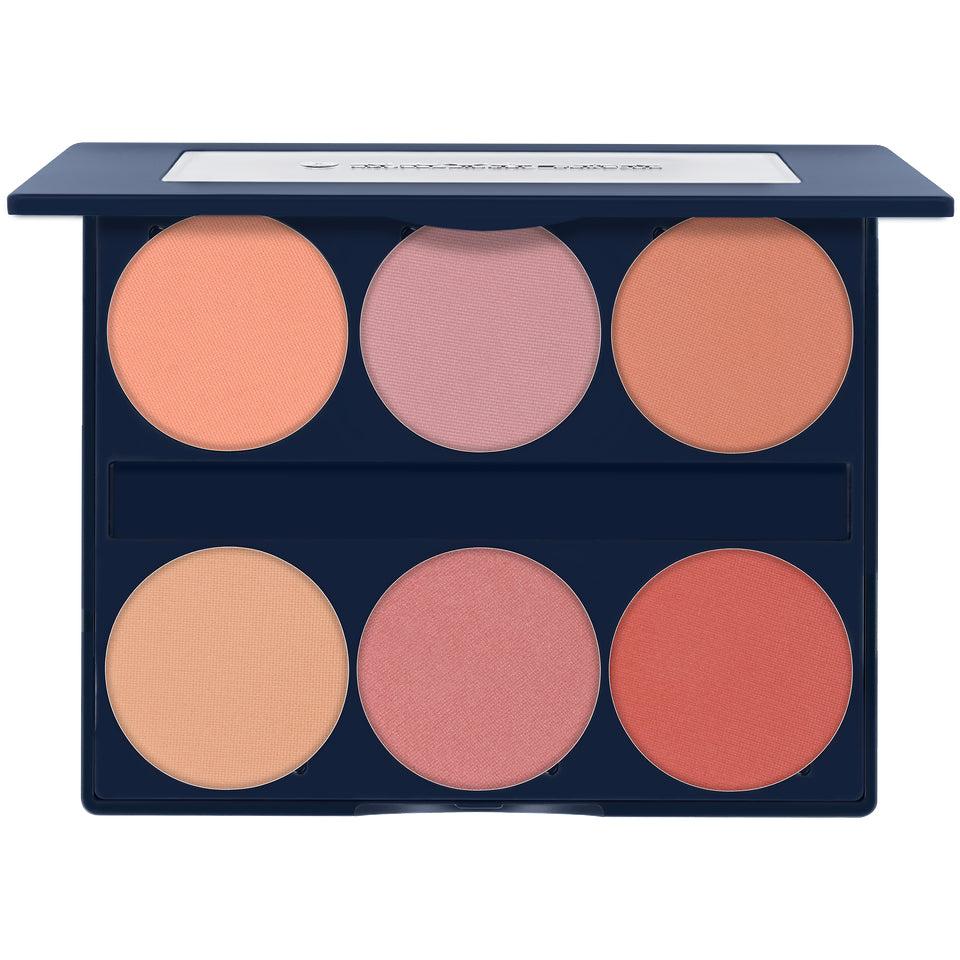 KRYOLAN Silk Finish Blush Palette 6 Farben Haze – magnetisch, 10g, Palette offen