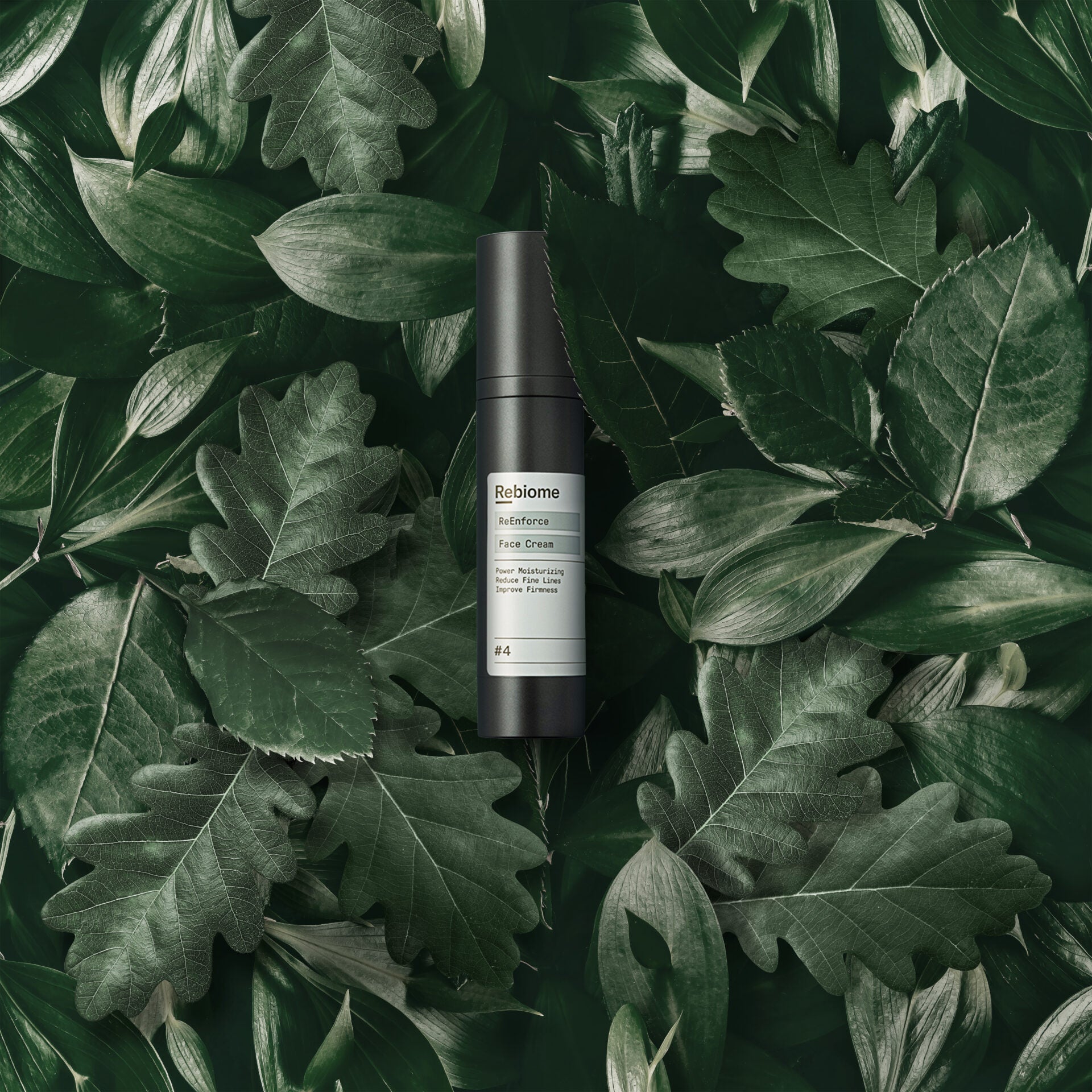 REBIOME ReEnforce Face Cream – 50ml, Spender auf Blättern liegend
