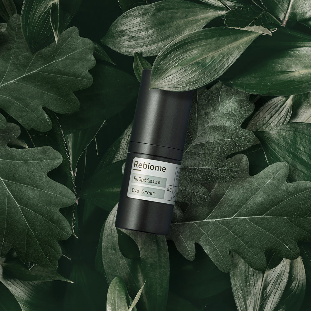 REBIOME ReOptimize Eye Cream – 15ml, Spender auf Laub liegend