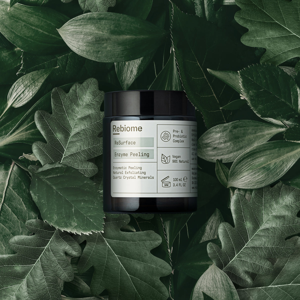 REBIOME ReSurface Enzyme Peeling – 100ml, Tiegel auf Laub liegend