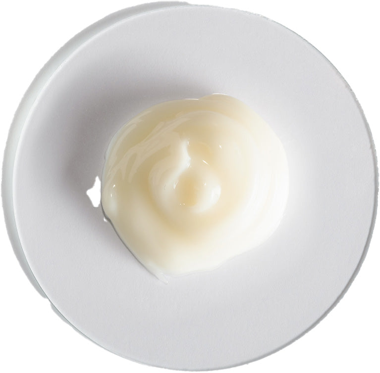 SKIN REGIMEN Night Detox  – Nachtcreme, 50ml, Produktprobe auf Glas