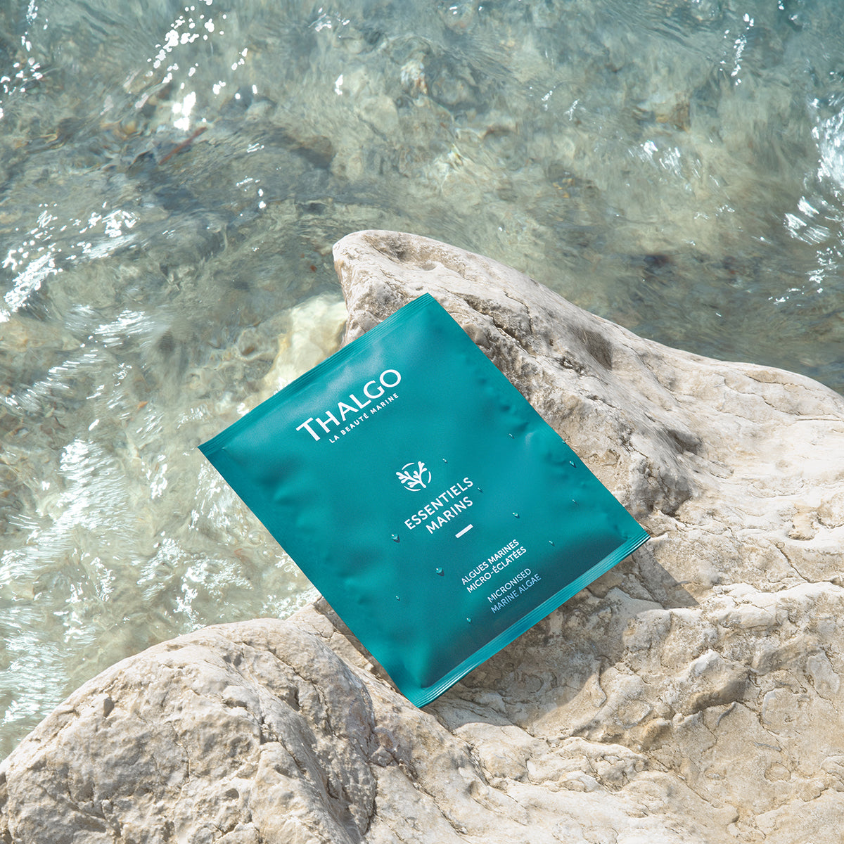 THALGO Marine Essentials - Mikropulverisierte Meeresalgen – 40g, Sachet auf Stein liegend an Wasser