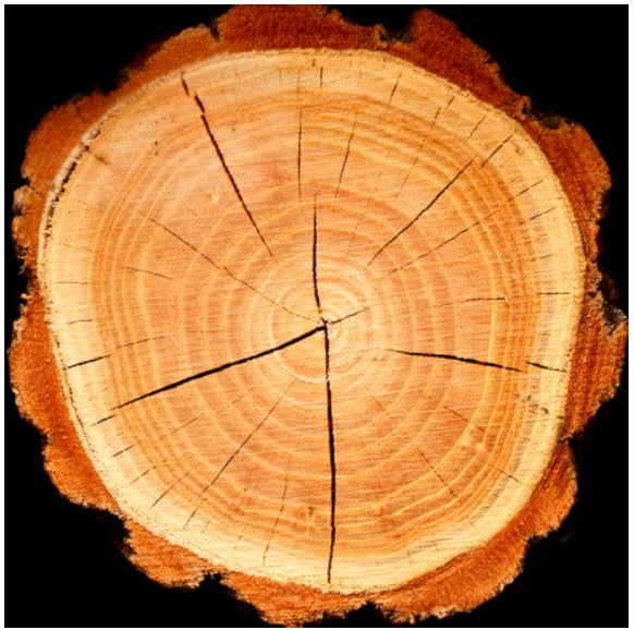 YODEYMA Élet  – 100ml, Holz