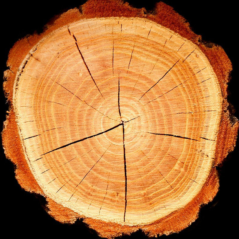 YODEYMA Boreal  – 100ml, Holz