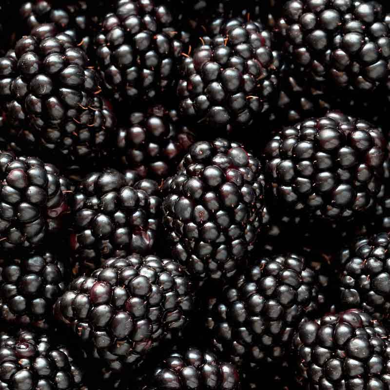 YODEYMA Mia  – 15ml, Brombeeren