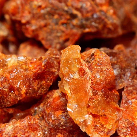 Detailaufnahme Agarholz