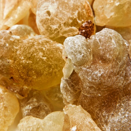 Detailaufnahme Benzoeharz